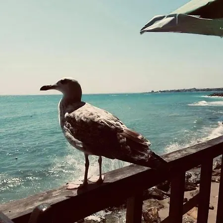 Apartment Panorama Nesebar