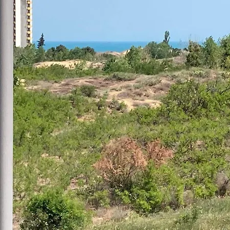 Panorama Apartment *